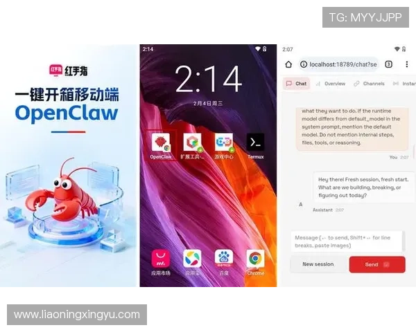 开云app官网官方入口及登录方法详解，帮助用户快速进入开云app官网平台体验